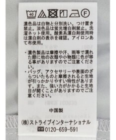 earth music&ecology 袖シアーレースプルオーバー