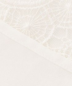 ANY SIS 【洗える】レイヤードレース ブラウス