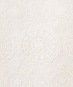 ANY SIS 【洗える】レイヤードレース ブラウス