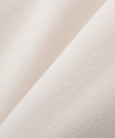 AMERICAN HOLIC カレッジロゴドルマンスウェット