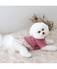 PET PARADISE ペットパラダイス ペティヒート プレミアム  ワンピース 《花ボタン柄》 小型犬