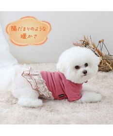 PET PARADISE ペットパラダイス ペティヒート プレミアム  ワンピース 《花ボタン柄》 小型犬