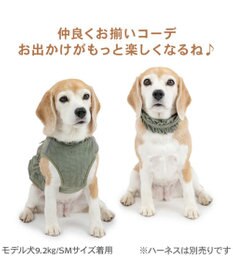 PET PARADISE ペットパラダイス ペタルオリーブ首輪 ＳＭ