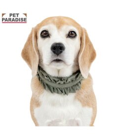 PET PARADISE ペットパラダイス ペタルオリーブ首輪 ＳＭ