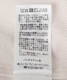 AMERICAN HOLIC カレッジロゴドルマンスウェット