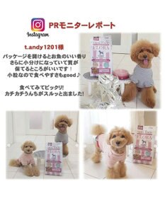 PET PARADISE ペットパラダイス  国産 ドッグフード フローラ3kg