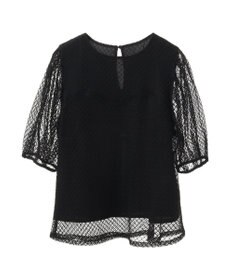 earth music&ecology 袖シアーレースプルオーバー