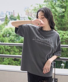 WEGO 【新色追加/ユニセックス着用アイテム/手洗い可/SMLサイズ展開】ピグメントグラフィックT（S）