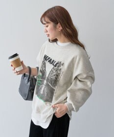 Green Parks ・ＤＯＵＢＬＥ　ＦＬＡＧＳ　フォトｐｔスウェット