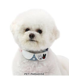 PET PARADISE リサとガスパール  襟付き 首輪《であい柄》 ３Ｓ 小型犬