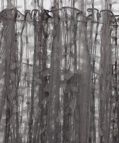 Green Parks ■高橋愛×ＧｒｅｅｎＰａｒｋｓチュールスカート