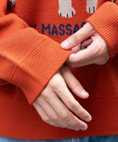 WEGO アニマルジャガードニットプルオーバー