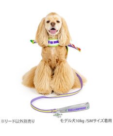 PET PARADISE ディズニー トイ・ストーリー バズ リード ＳＭ