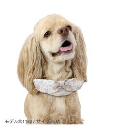 PET PARADISE 花柄 襟付首輪 おしゃれ 【ＳM】 中型犬