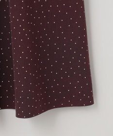 J.PRESS LADIES 【洗える】フェミニッシュパウダー dots ワンピース