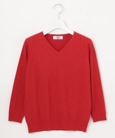 J.PRESS LADIES 【洗える】PRINCESS Vネック ニット