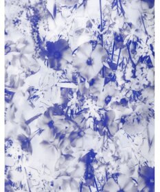 WACOAL MEN WACOAL MEN ボクサーパンツ 【気持ちいいパンツ】 動いてもズレにくい フロントの安定性・快適性 フリーなカッティング（裾部分） なめらかな肌ざわり 前閉じ 下着 WT3429 /ワコールメン