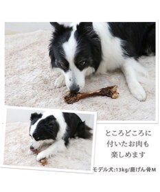 PET PARADISE ≪数量限定≫  鹿 げん骨 デンタルおやつ Mサイズ×2本 純国産