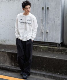 WEGO 【ユニセックス着用ITEM/裏起毛/SMLサイズ展開】リラックスフィットゲームロゴプルオーバー