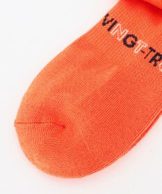 23区GOLF 【MEN】カラーソックス