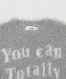 WEGO ロゴシャギーショートニット