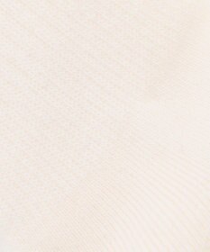 J.PRESS MEN 【BULLDOG BOY】リブライン ソックス