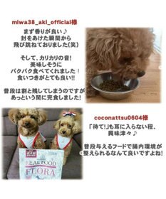 PET PARADISE ペットパラダイス  国産 ドッグフード フローラ3kg