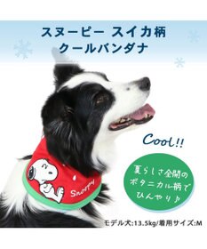 PET PARADISE スヌーピー スイカ柄 クールネック バンダナ 《保冷剤付き》【中型犬】【大型犬】