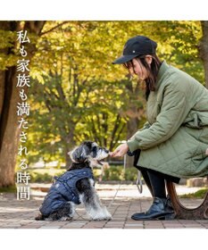 PET PARADISE J.PRESS  アウターハーネス オニオンシームステッチ 《ネイビー》 小型犬