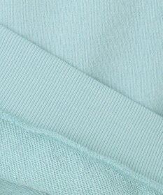 ANY KIDS 【らくっトレーナー】アニマル 裏毛 サガラ刺しゅう トレーナー