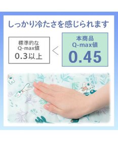 PET PARADISE リサとガスパール もちっと クール ブランケット 《海草柄》