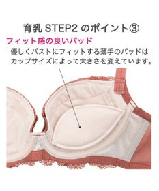 BRADELIS New York 【BRADELIS New York / 育乳ブラ・STEP2 寄せる】ローズステップ2ブラ23A1  脇高設計でスッキリ補正するブラ