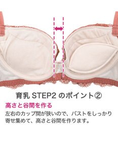 BRADELIS New York 【BRADELIS New York / 育乳ブラ・STEP2 寄せる】ローズステップ2ブラ23A1  脇高設計でスッキリ補正するブラ