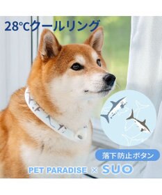 PET PARADISE ペットパラダイス ２８℃ クールリング ＳＭ 《サメ柄》