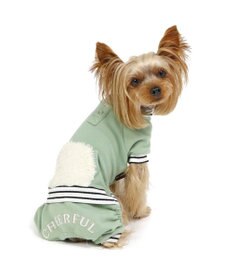 PET PARADISE ペットパラダイス 縞柄リブ   ロンパース《カーキ 》 小型犬