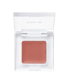 Chacott Cosmetics マルチカラーバリエーションGL05[GLOSSY]