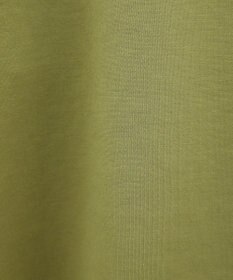 Green Parks ・ｓｗｉｎｇ　ｂｙ　フリルスリーブプルオーバー