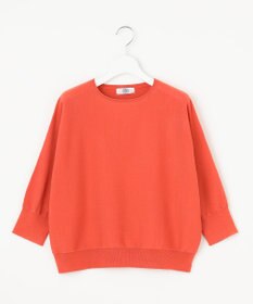J.PRESS LADIES S 【WEB限定カラーあり・洗える・抗菌防臭】COTTON POLYESTER ドルマンスリーブ ニット