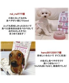 PET PARADISE ペットパラダイス  国産 ドッグフード フローラ3kg