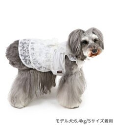PET PARADISE ペットパラダイス レースワンピース 小型犬