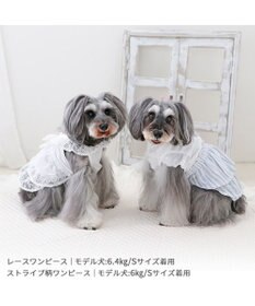 PET PARADISE ペットパラダイス レースワンピース 小型犬