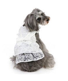 PET PARADISE ペットパラダイス レースワンピース 小型犬