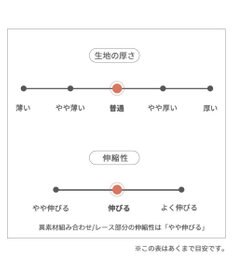 PET PARADISE ペットパラダイス レースワンピース 小型犬