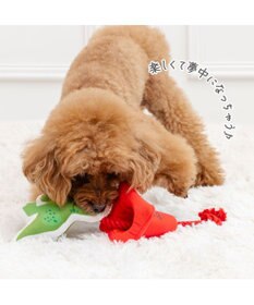 PET PARADISE ディズニー トイ・ストーリー レックス コーントイ