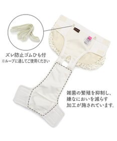 PET PARADISE ペットパラダイス バルーン サニタリーパンツ 《ドット柄》 小型犬