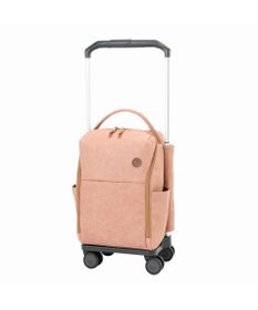 ACE BAGS & LUGGAGE soelte マルメ お買い物キャリー 23L 35982 ソエルテ ソフトスーツケース