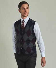 GOTAIRIKU 【家庭洗濯可能】イタリア糸 ハイゲージ ベスト