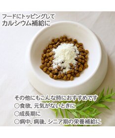 PET PARADISE ペットパラダイス ペット用 ヤギミルク オランダ産