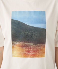 SHARE PARK LADIES 【UVカット・吸水速乾・ストレッチ・軽量 】フォトプリントTシャツ（S・Mサイズ）