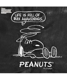 ROOTOTE 8445【スヌーピー】IP.A4アーキャトルワイド.メタリック.ピーナッツ-0Q